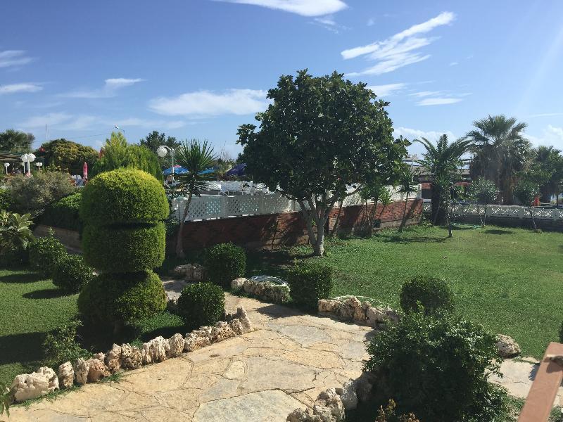 Dolunay Apartments Didim Ngoại thất bức ảnh